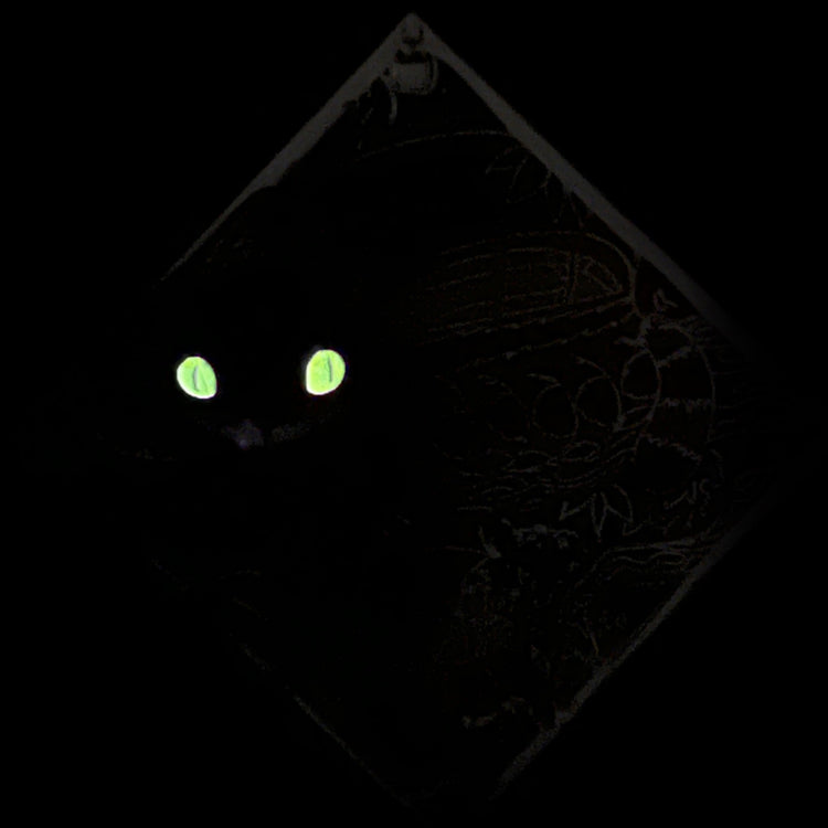 Diamond Series - Catbus